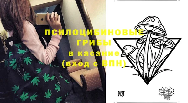 spice Аркадак